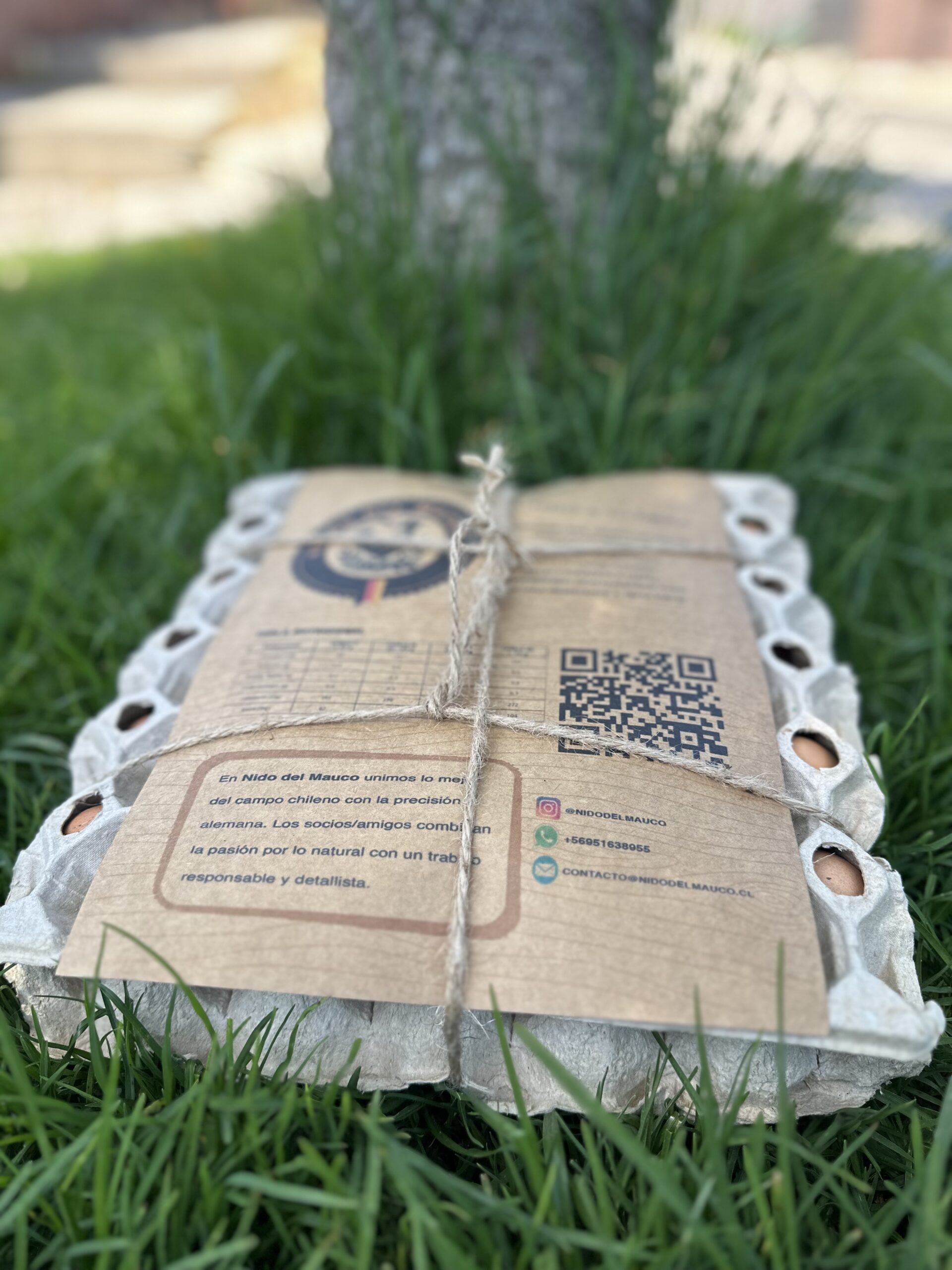 Bandeja de 30 Uds S - Imagen 9