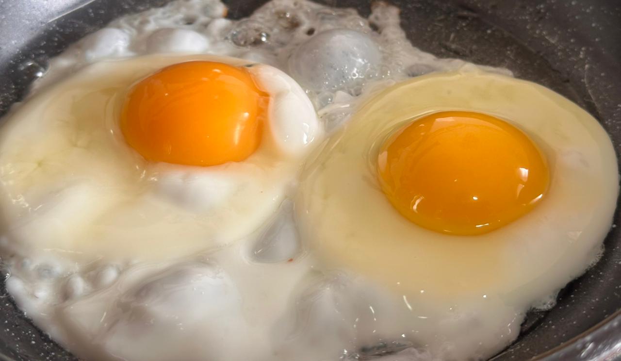 Bandeja de 30 Uds S - Imagen 5